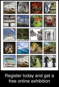 free exhibition